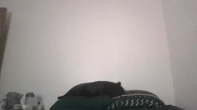 SiminFox from StripChat