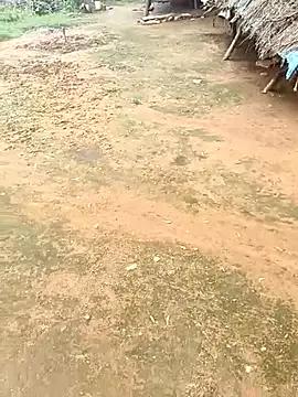 So_seema webcams show profile image 