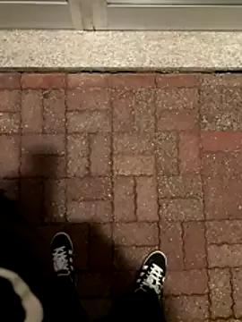 Spiederman-10 webcams show profile image 