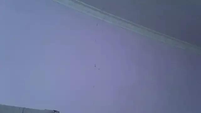 Springbock56 webcams show profile image 