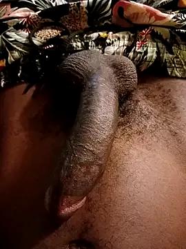 Stripes4Desire webcams show profile image 