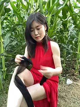sunny-520 from StripChat is Freechat