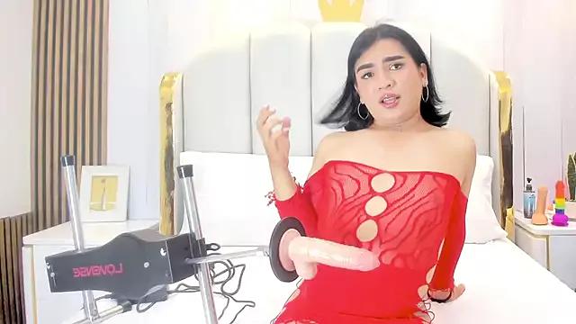 Explore our live girls sluts from our Custom and Multi clubs and checkout exclusive access to highly interactive content, such as shape, hair, titties, pussy type and many more.