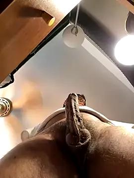 TacosSenpai webcams show profile image 