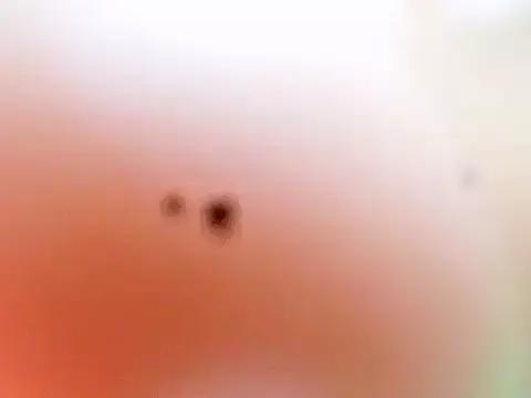 Tallassbabex22 webcams show profile image 