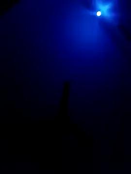 Tamil-Meenu12 from StripChat is Freechat