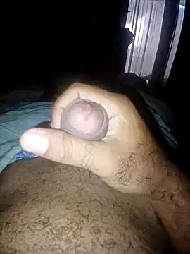 taylorWiiz from StripChat is Freechat