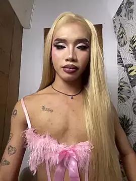 Explore our live girls sluts from our Custom and Multi clubs and checkout exclusive access to highly interactive content, such as shape, hair, titties, pussy type and many more.