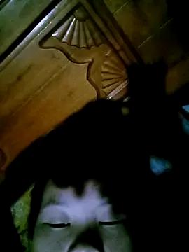 Tuelam_xx webcams show profile image 