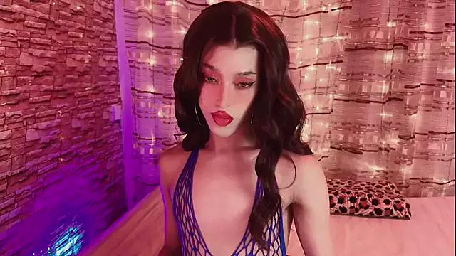 XShyGirl webcams show profile image 