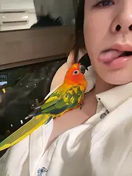 XXGZ668 from StripChat